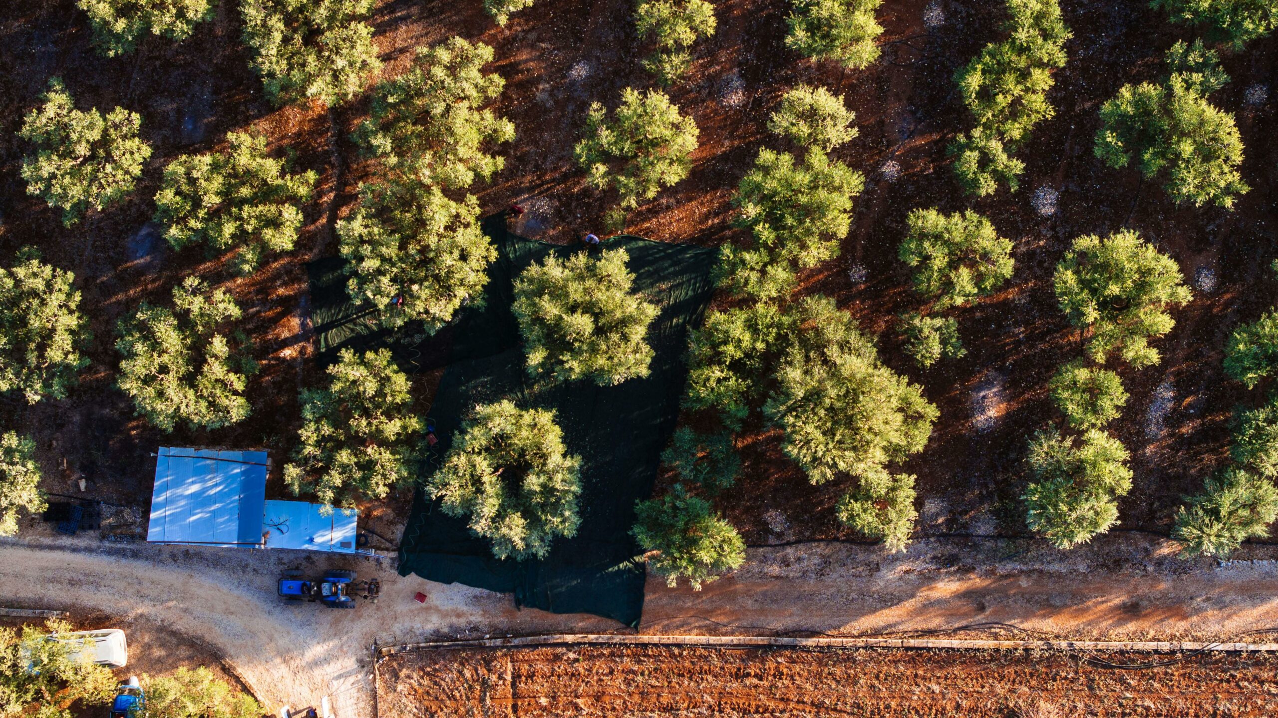 La région des Pouilles attire de plus en plus de visiteurs internationaux à la recherche d’authenticité. Acheter un trullo pour le proposer à la location saisonnière peut générer des revenus stables. Dans des zones comme Alberobello, Locorotondo, Cisternino ou Ostuni, la demande est constante.